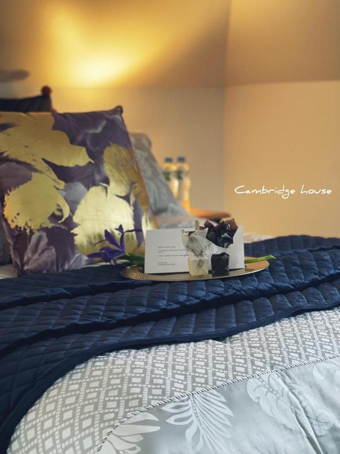 Bed and Breakfast Cambridge House Breakfast & Bed Geeveston Exteriér fotografie