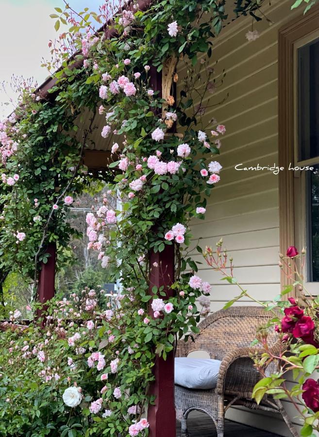 Bed and Breakfast Cambridge House Breakfast & Bed Geeveston Exteriér fotografie