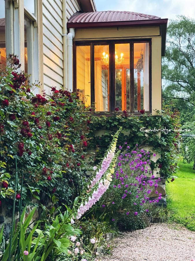Bed and Breakfast Cambridge House Breakfast & Bed Geeveston Exteriér fotografie