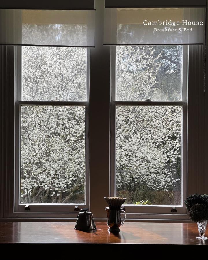 Bed and Breakfast Cambridge House Breakfast & Bed Geeveston Exteriér fotografie