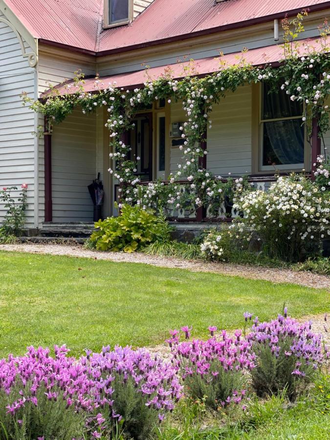 Bed and Breakfast Cambridge House Breakfast & Bed Geeveston Exteriér fotografie