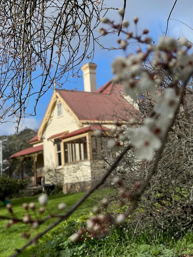 Bed and Breakfast Cambridge House Breakfast & Bed Geeveston Exteriér fotografie
