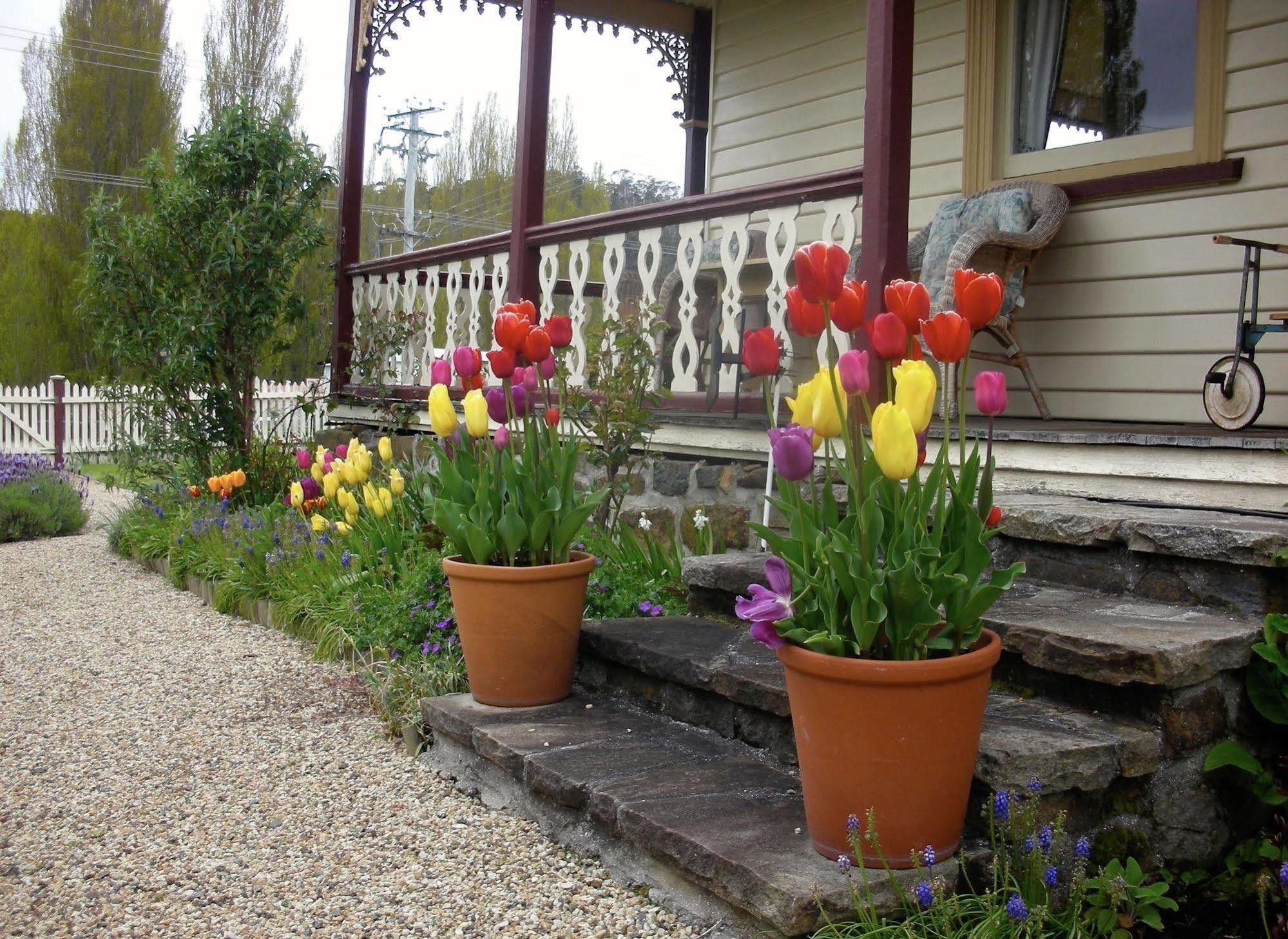 Bed and Breakfast Cambridge House Breakfast & Bed Geeveston Exteriér fotografie